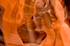 DSC4816