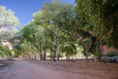 Canyon de Chelly