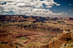 DSC4369