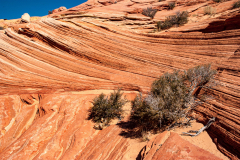 Coyote Butte - The Wave 2005