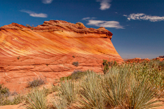 Coyote Butte - The Wave 2005