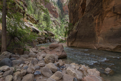 Zion National Park