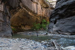 zion-2977